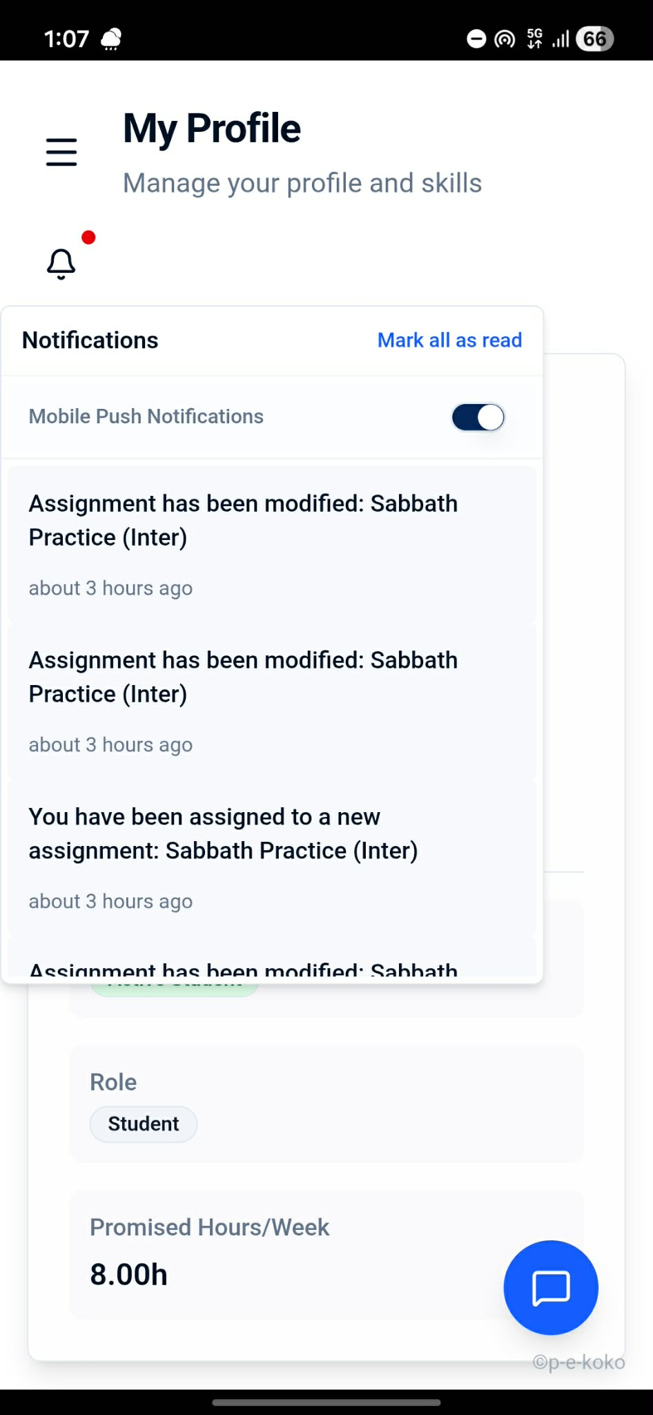 Mobile Push Notifications View